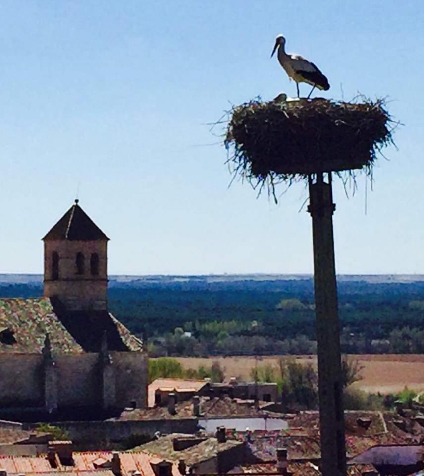 El Rincon Del Alma Mia Villa Simancas Kültér fotó